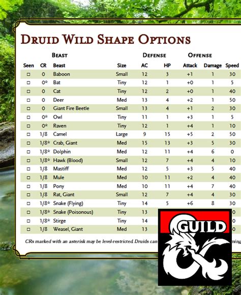 dnd 5e wild shape list